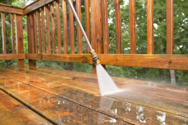 Best Patio and Deck Pressure Washing  in Olga, FL